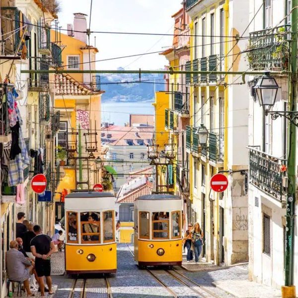 WhatsApp Image 2024-10-14 at 11.39.20